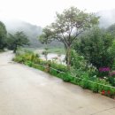 버들치민박 이미지