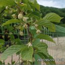 명월3리 이미지