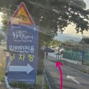 한경체육관 인조잔디구장 | 2025 화랑대기 현장 탐방 알천구장 및 경주 축구공원 주차정보 관람석