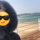 주문진초등학교 이미지