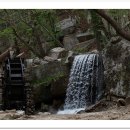 관문초등 이미지