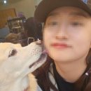 독구제과 이미지