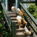 메모리 펜션 이미지