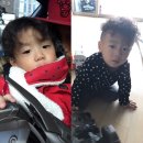 라라율 이미지
