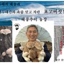 해풍추이