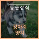 철원동물병원 이미지