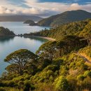 우행통신 | 사진작가도 반한 라키우라 트랙: 스튜어트 섬 대자연 속 인생샷 스팟 7곳