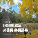 하영올레 2코스 | 서홍동 은행골목 하영올레 3코스 러닝코스