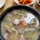 화성투어 이미지