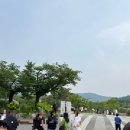 과천 서울대공원 동물원 방문 후기 (먹거리 맛집 &amp; 입장료 &amp; 웨건 대여료)