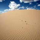 엘승타사르해의 미니 사막에서 이미지
