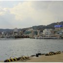 동해진미참가자미 이미지