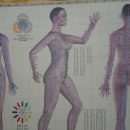 광명시술원 이미지