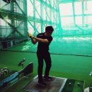 궁전라벤더 이미지