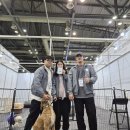 동물보육원 화성 향남지부 | 동물보육원 화성지부의 하루｜일산 어린이 박람회 동물교감 체험 후기