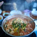 알.고니칼국수 이미지