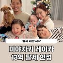 레이카광고