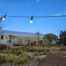 삽교읍 보성보건진료소 | 예산 대형카페 이리정미소 핑크뮬리정원