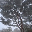 청계천문화관 | 영릉:역사문화관·광장·재실