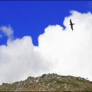 색다른색이야기 이미지