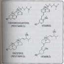 비타민 D 이미지