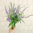 꽃사랑플라워 이미지