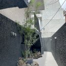 광희 에세이