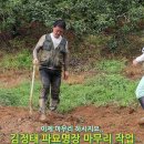 [극한직업] 윤달 맞아 실제 파묘영상 공개. 이미지