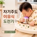 자기주도 이유식은 절대 안하려고 했던 엄마의 밥태기 도전기