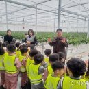 의림유치원 이미지