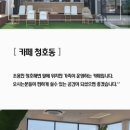카페청호동 이미지