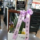 늘푸른헤어샵