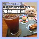 서구-02-23 | 대구 애견동반 카페 하프베이크 (Feat. 키티휘낭시에)