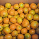 박광용농장 이미지