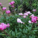 샘밭농장 이미지