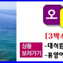 개미여행사