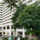 구암동470 | 아이랑괌여행 /리가로얄 라구나 괌 리조트 구 쉐라톤호텔