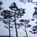 굴지농원 이미지