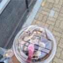 아이엠도넛충북