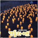 순천 6월 행사 국가정원 캔들라이트 콘서트 다녀온 후기