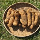 천마영농조합법인 이미지