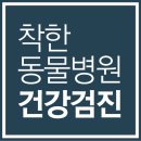 금호동물병원 이미지