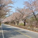 자진뱅이길 이미지