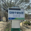 대원농장 | [대원주말농장] 주말농장 첫 방문기💚
