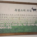 대대박흑염소집