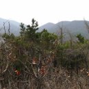 한일초등학교 이미지