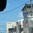 일도노스테이 이미지