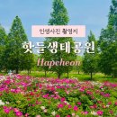 황강생태공원 A-02 | 합천 작약축제장 핫들생태공원 경남 5월 꽃축제 작약개화