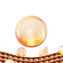 닥터훈정형외과의원 이미지