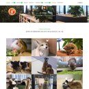 마리앤쥬(ZOO) 이미지